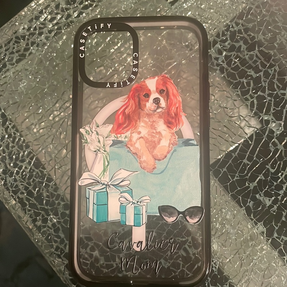 Casetify iPhone 12 mini case